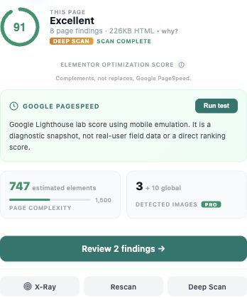 How to Remove Empty Elementor Containers With an Undo Option 2 Buraq scan overview on a test page