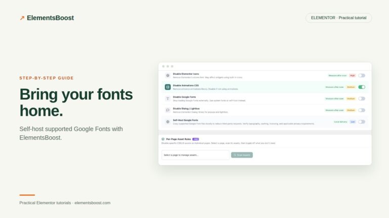 ElementsBoost self-host Google Fonts and per-page asset controls.