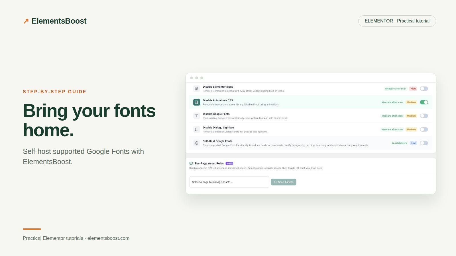 ElementsBoost self-host Google Fonts and per-page asset controls.