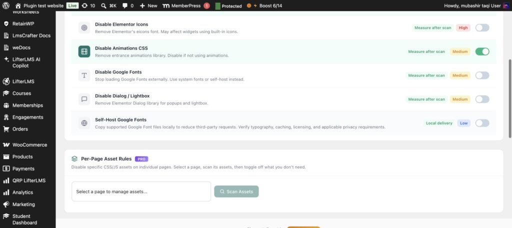 ElementsBoost Self-Host Google Fonts control for Elementor for self-host Google Fonts